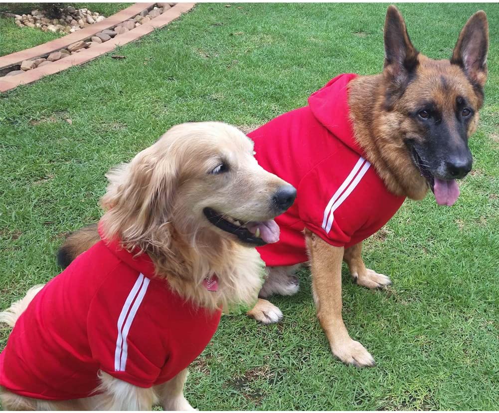  Namsan - Sudaderas deportivas con capucha para perros medianos y grandes 