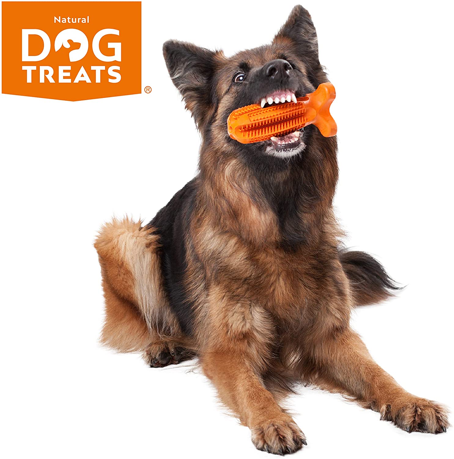  Natural Dog Treats Cepillo de Dientes y Dentífrico Set para Perros, 100% Natural Caucho Dog Brushing Stick, Juguete para Masticar 