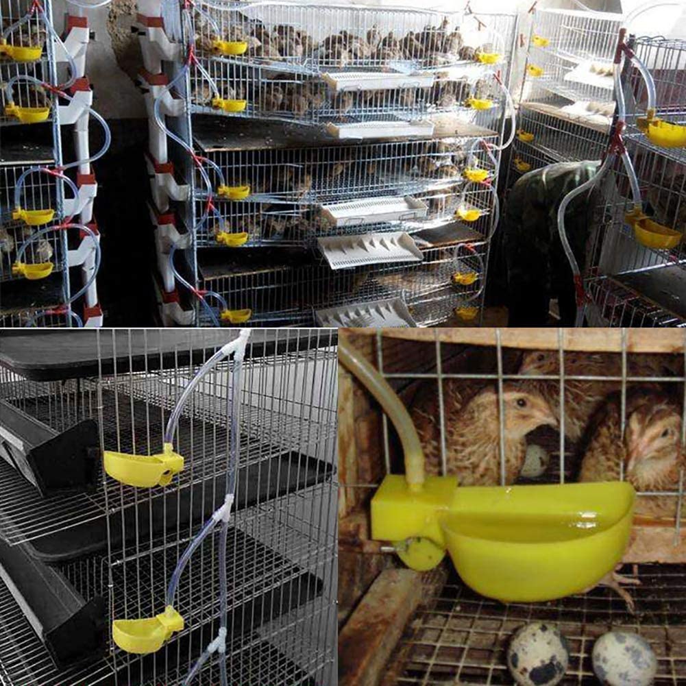  PET HOUND 10 Piezas De Suministro Agua Pezón Suministros Avícolas Agricultura Bebederos Tazas Caja Mascotas Pájaros Periquitos Cuencos Vasos Plástico para Aves Corral, Comedero Automático Aves 