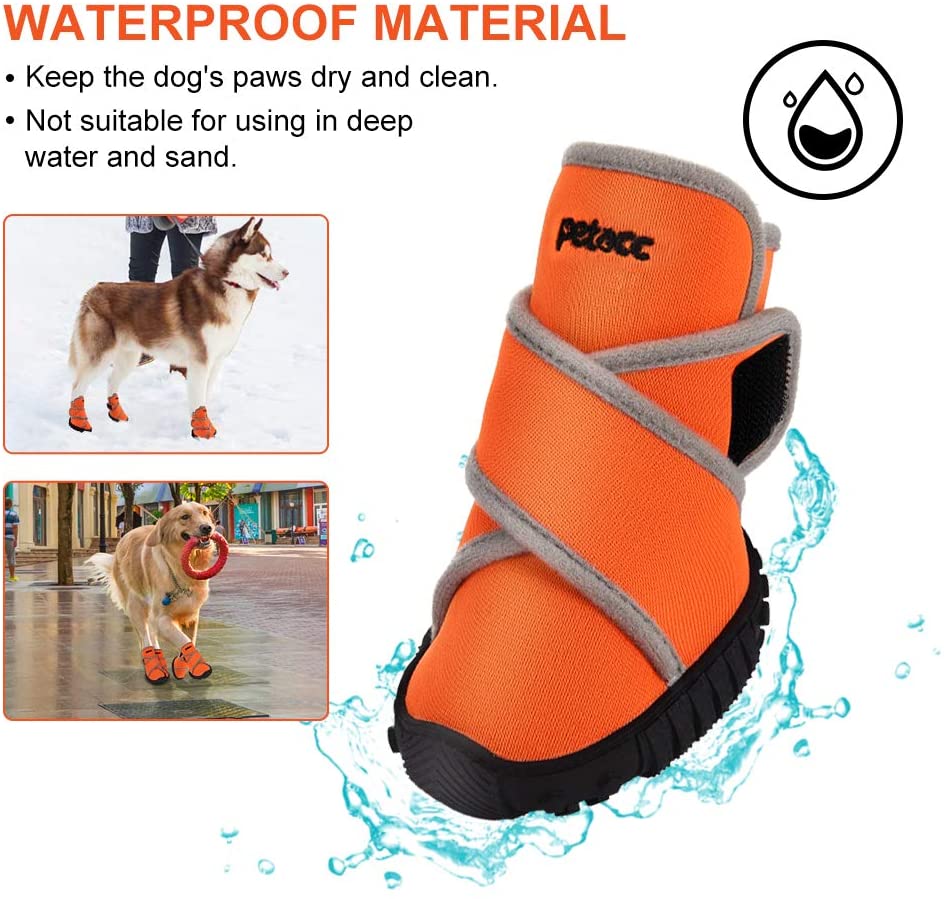  Petacc Botas para Perros Zapatos Impermeables para Perros Zapatos para Exteriores con Suela Antideslizante Resistente, 4 Piezas (M, Naranja) 