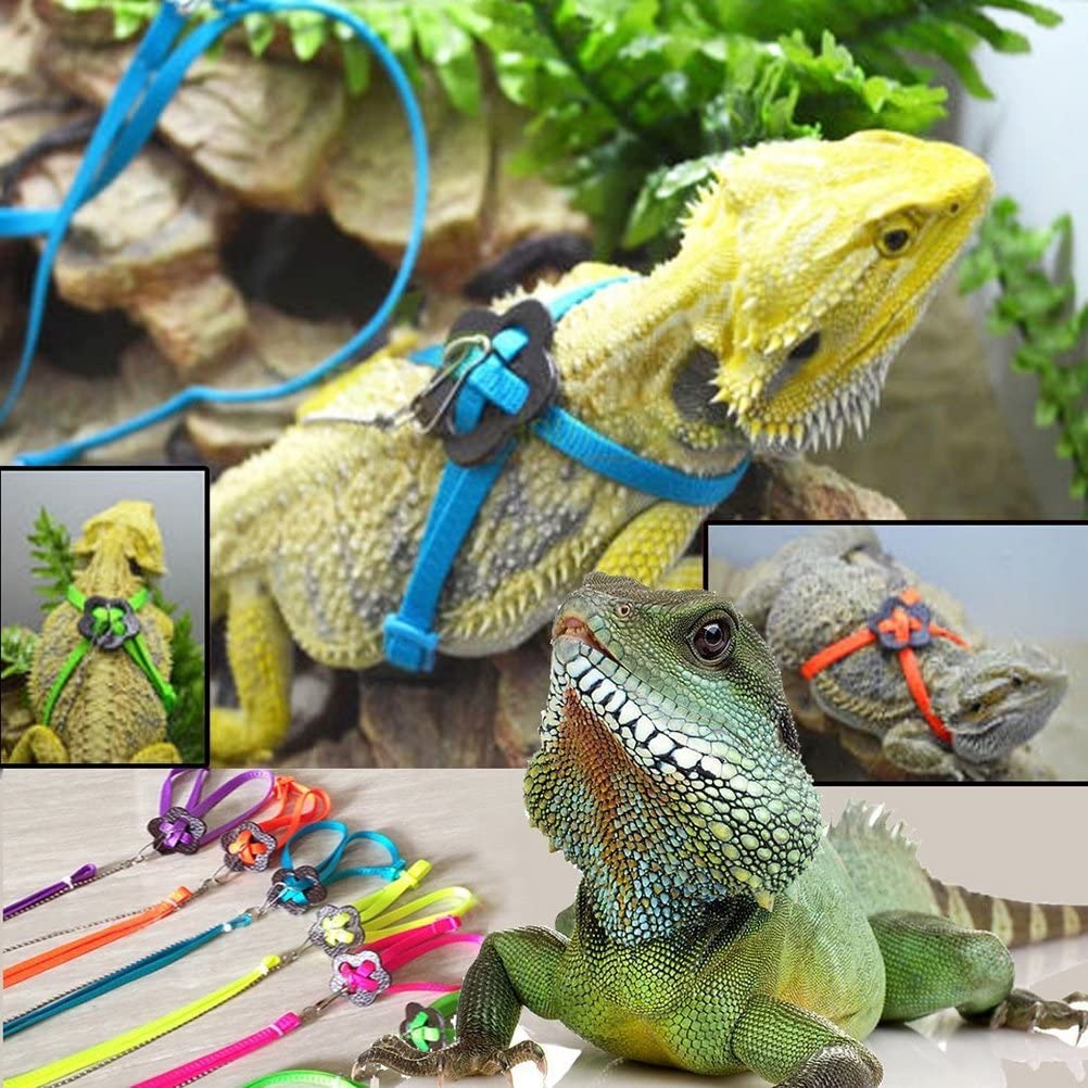  PIXNOR - Arnés para lagartos y reptiles, ajustable, 1,2 m para pasear al aire libre 