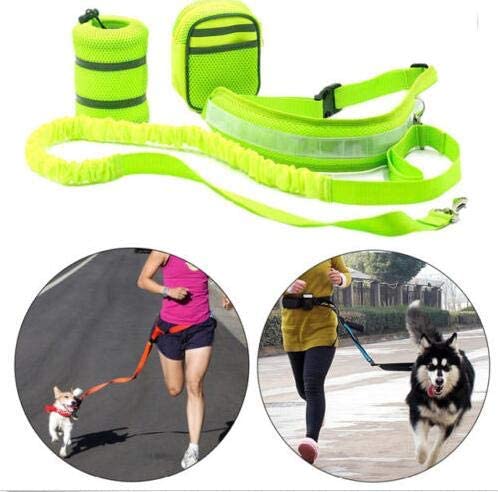  Ponacat Pet Sports Kit,Hands Free Dog Lead Strap Rope,Colorful Nylon Elastic No Slip Waist Belt For Walking Running with Large and Medium Dog 