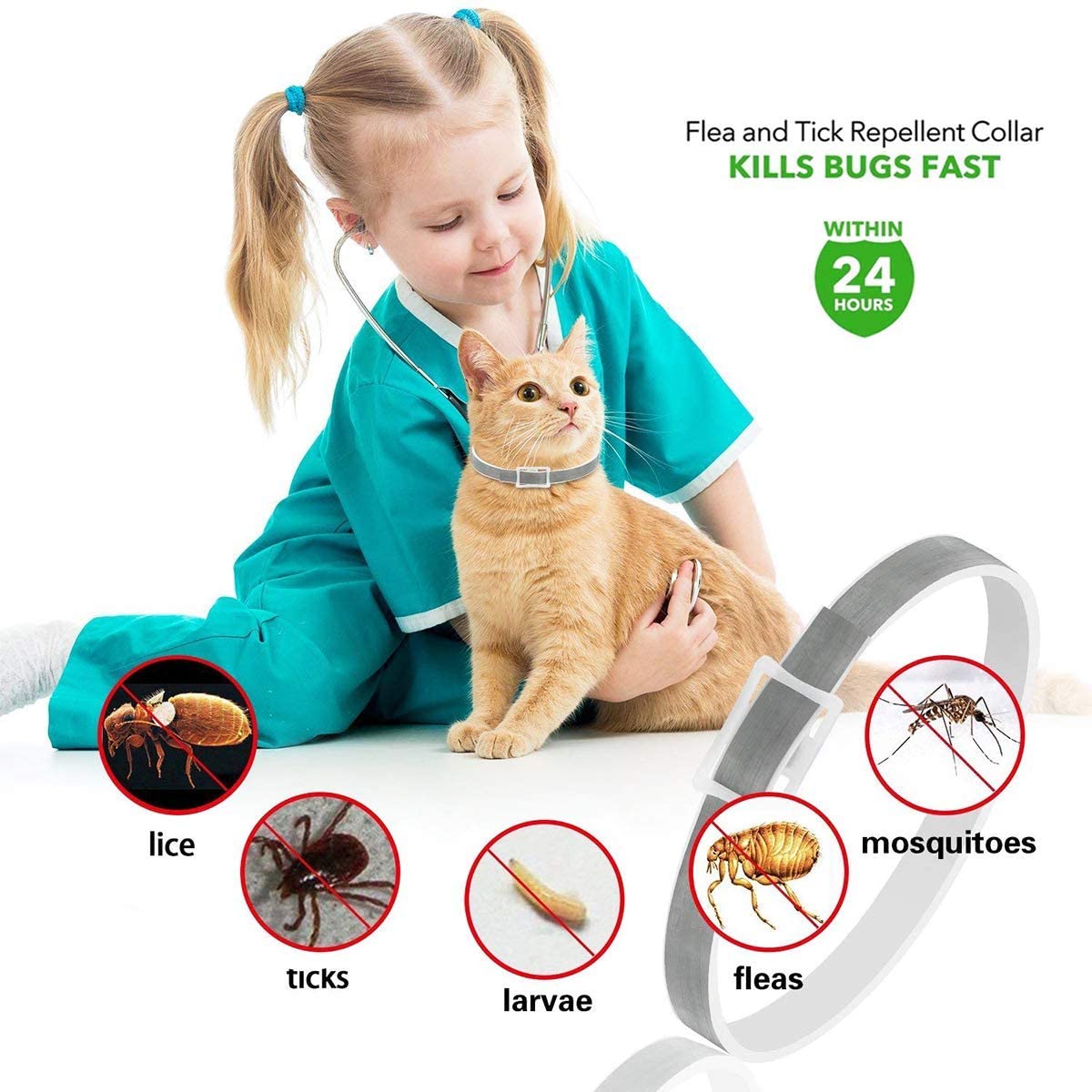  PROZADA Collar Antiparasitario para Gatos, 8 Meses de protección Stop Bichos y picazón, gregado con Aceites Naturales, Tamaño Ajustable e Impermeable (1) 