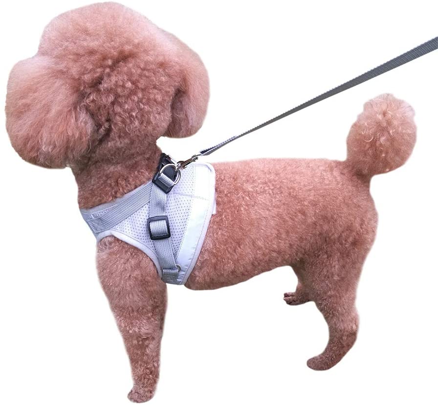  QiCheng&LYS Chaleco de Viaje Regular de Malla Transpirable con Cinturón de Seguridad para Perros y Gatos Chaleco de Seguridad para Mascotas (Gris, M) 