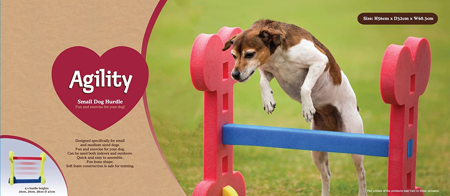  Rosewood - Obstáculo pequeño de entrenamiento de agilidad para perros 