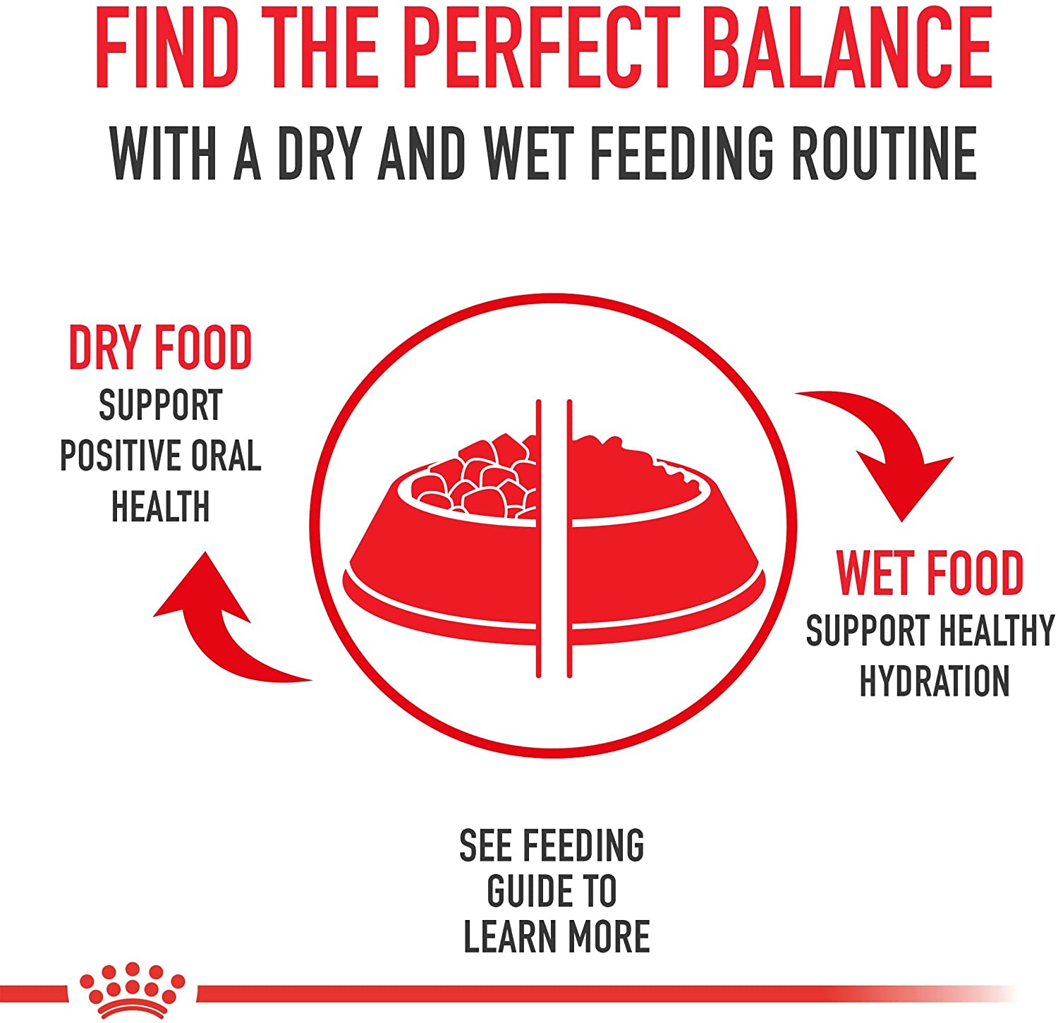  ROYAL CANIN Canine Health Nutrition Starter Mousse Canned Dog Food, 5.8 oz/One Size by 