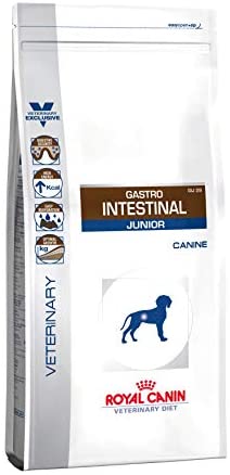  Royal Canin GIJ29 - Bolsa de 1 kg para veterinario gastro Intestinal Junior 