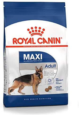  Royal Canin Maxi Adult - Pienso para perros raza grande 10Kg 