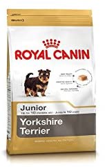  Royal canin Yorkshire junior - Pienso para Yorkshire joven 1,5Kg 
