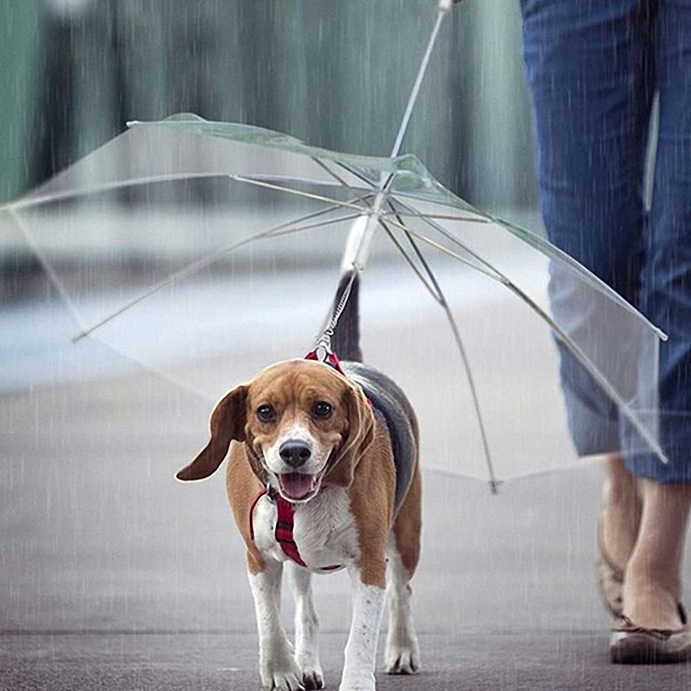  S-Lifeeling - Paraguas plegable para perros con correa, para nieve y lluvia, transparente, se adapta a la espalda de la mascota de hasta 50,8 cm 