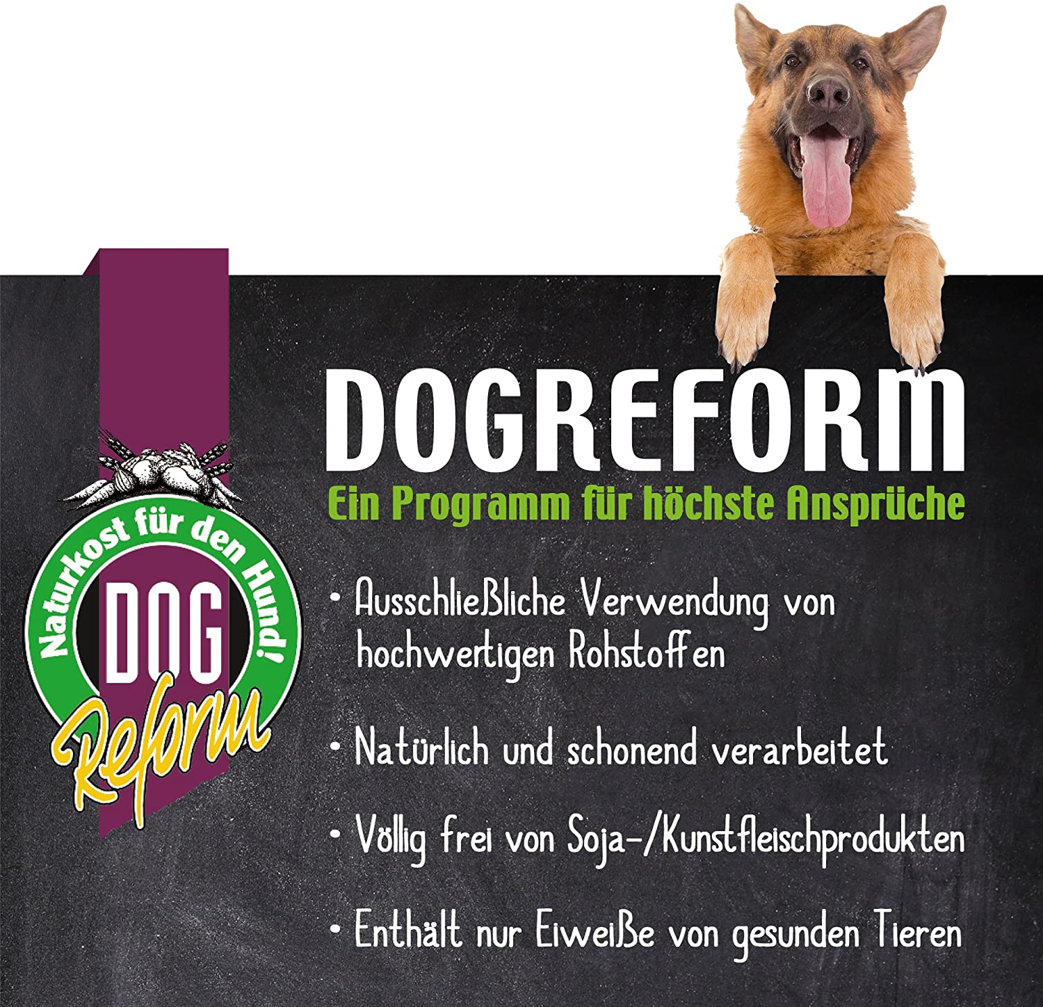  Schecker Dogreform - Leche para cachorros de perro, sustitución de la leche materna, muy buena tolerancia 