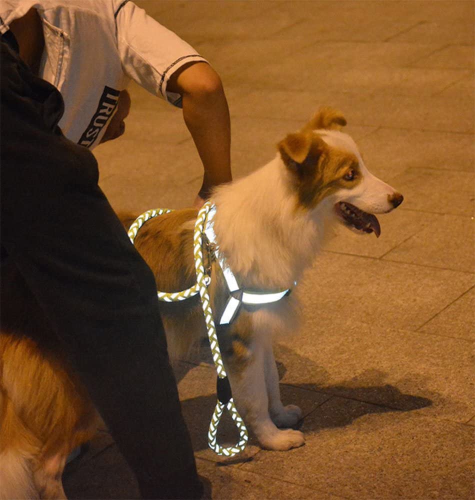  Seguridad para mascotas Light up Night Leash Cuerda Cinturón Dog Pet Led Arnés + correa para el pecho 