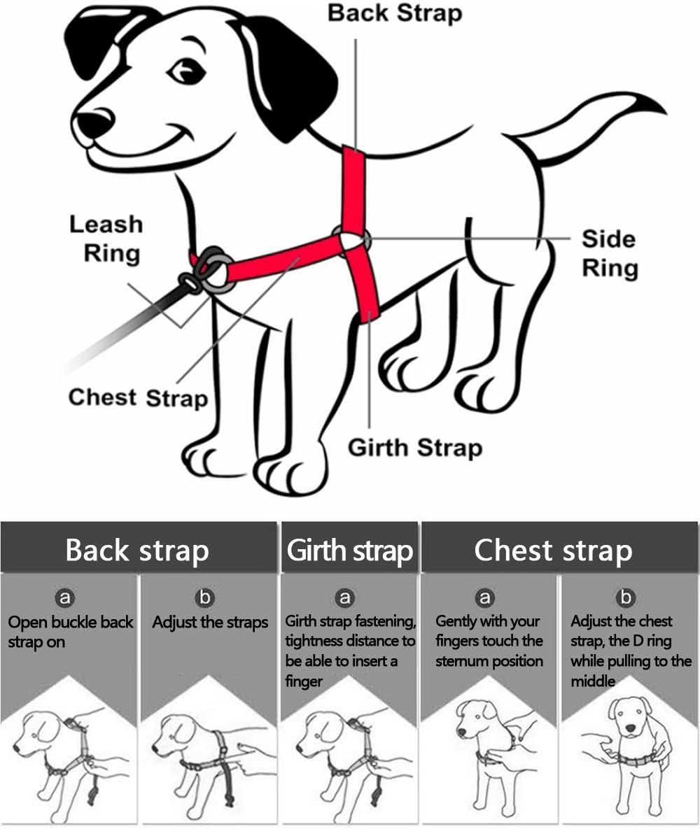  Set de correa y arnés para perro Berry no-pull de nailon para facilitar los paseos, entrenamientos, escaladas y senderismo 