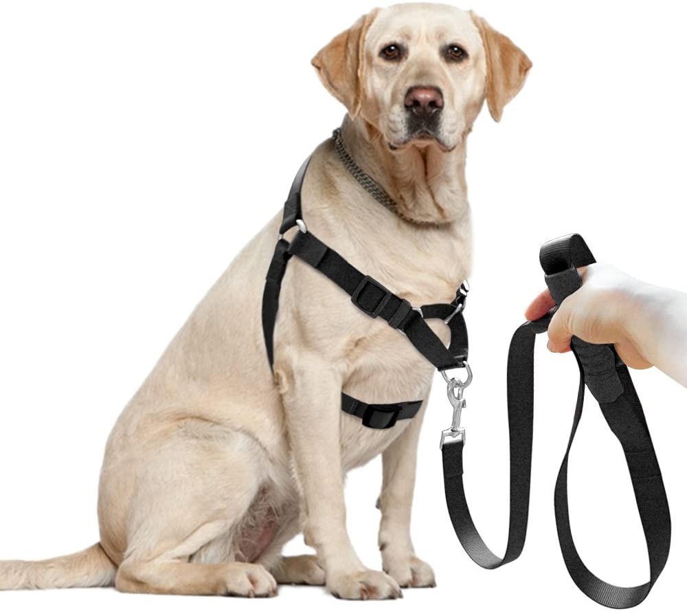  Set de correa y arnés para perro Berry no-pull de nailon para facilitar los paseos, entrenamientos, escaladas y senderismo 