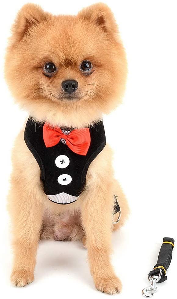  smalllee _ Lucky _ store, ajustable Tuxedo arnés chaleco para mascotas pequeñas perro gato suave malla acolchada 