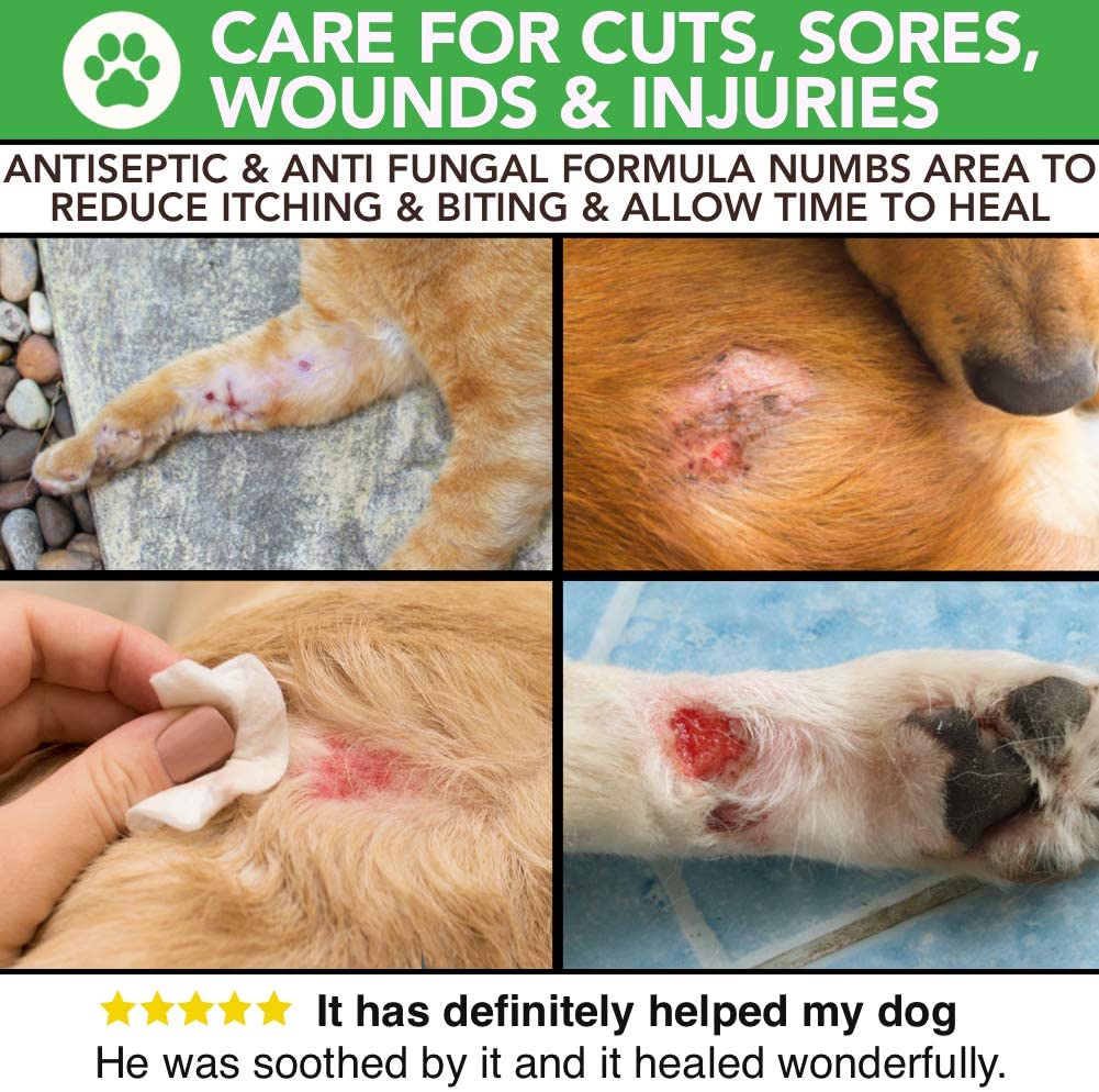  Spray completamente natural para el cuidado de la piel con comezón y de heridas para perros y gatos | Alivio de la comezón y cuidado de la piel | Tratar la picazón, la piel agrietada y las heridas 