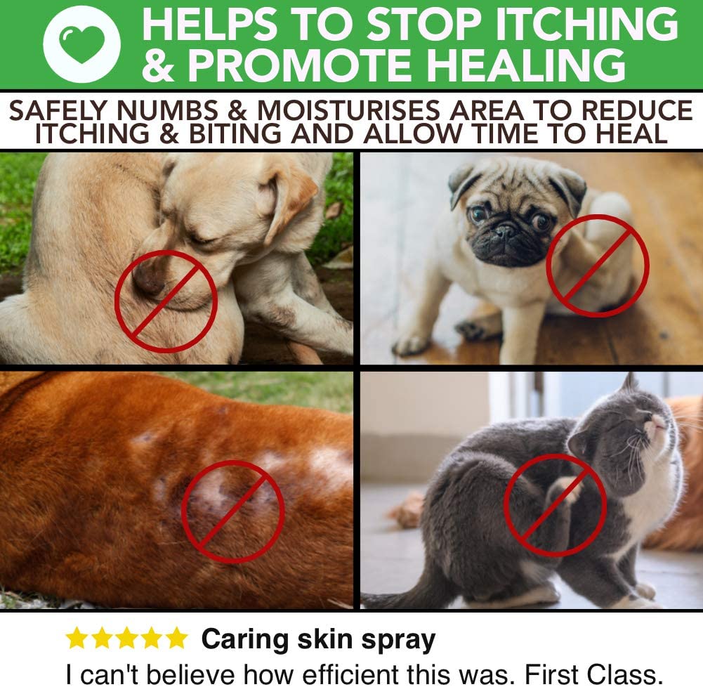  Spray completamente natural para el cuidado de la piel con comezón y de heridas para perros y gatos | Alivio de la comezón y cuidado de la piel | Tratar la picazón, la piel agrietada y las heridas 