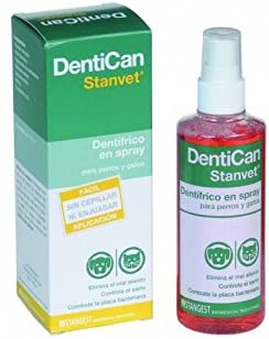  STANGEST Spray Dental Dentican 125 ML 