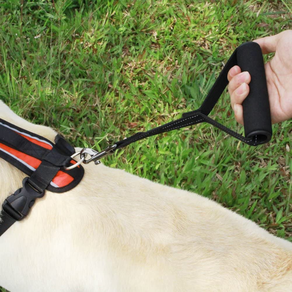  Sue Supply Correa para perro (correa corta con asa acolchada), uso con acopladores dobles para perros, perros de servicio o como correa de tráfico. 