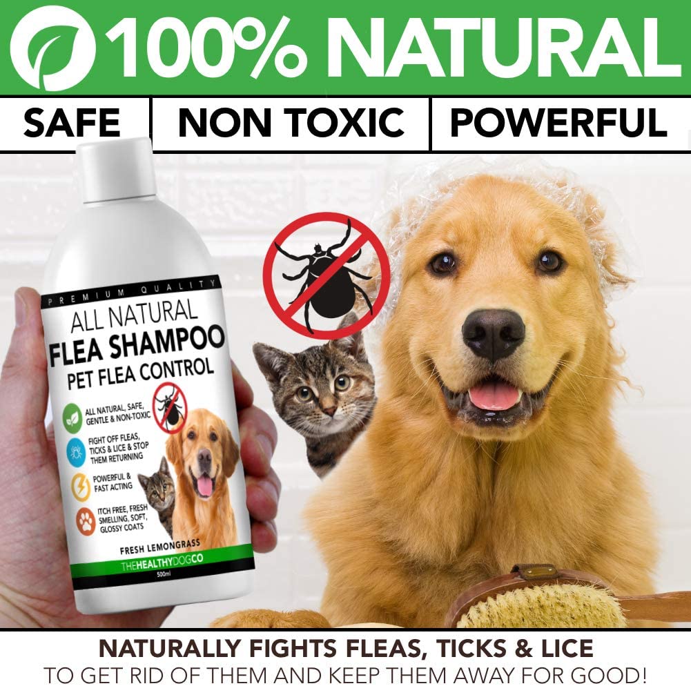  The Healthy Dog Co Champú antipulgas Completamente Natural | Limoncillo | 500ml | El Mejor Tratamiento para Perros y Gatos | Fórmula Potente y Segura | Mata y controla pulgas garrapatas y piojos 
