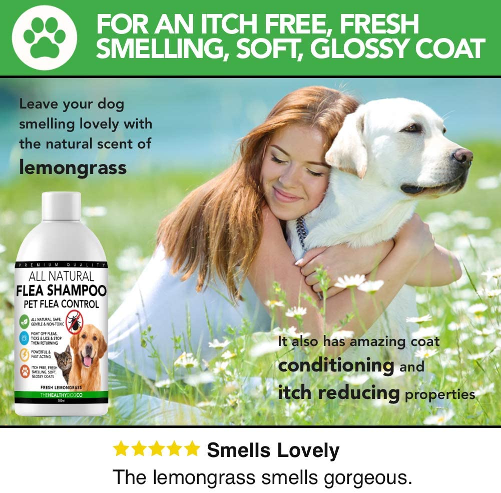  The Healthy Dog Co Champú antipulgas Completamente Natural | Limoncillo | 500ml | El Mejor Tratamiento para Perros y Gatos | Fórmula Potente y Segura | Mata y controla pulgas garrapatas y piojos 