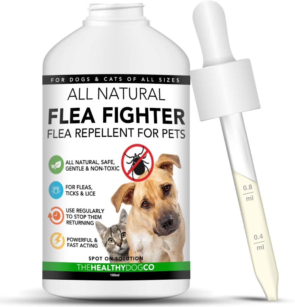  The Healthy Dog Co Solución para el Tratamiento y la prevención Natural de Las pulgas | Solución para Perros y Gatos | Mata, previene y controla Las pulgas, Las garrapatas y los piojos 