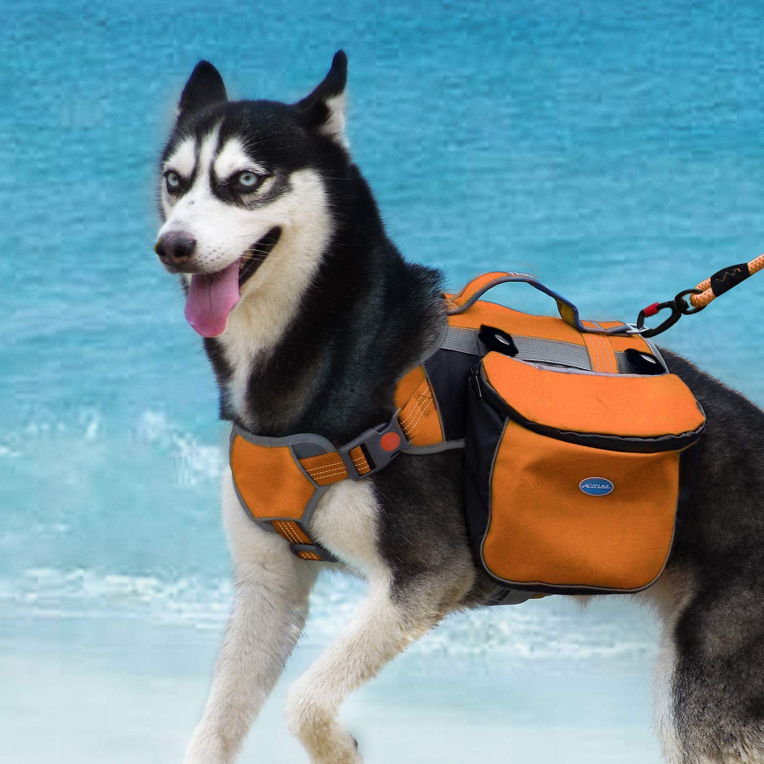  ThinkPet Alforja para Perro al Aire Libre Reflective Saddle Bag -Paquete para Perros Bolsa Doble para Mochila de Viaje Hound para Perros medianos Grandes 