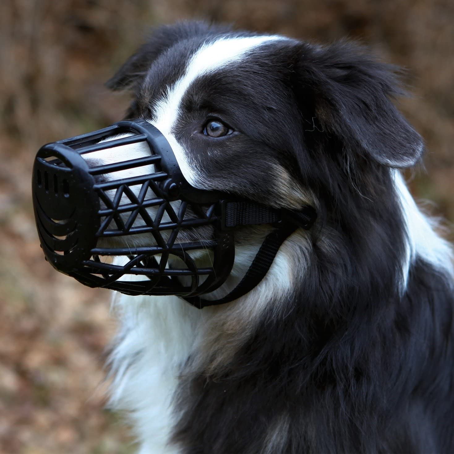 Trixie - Bozal de plástico para perros 