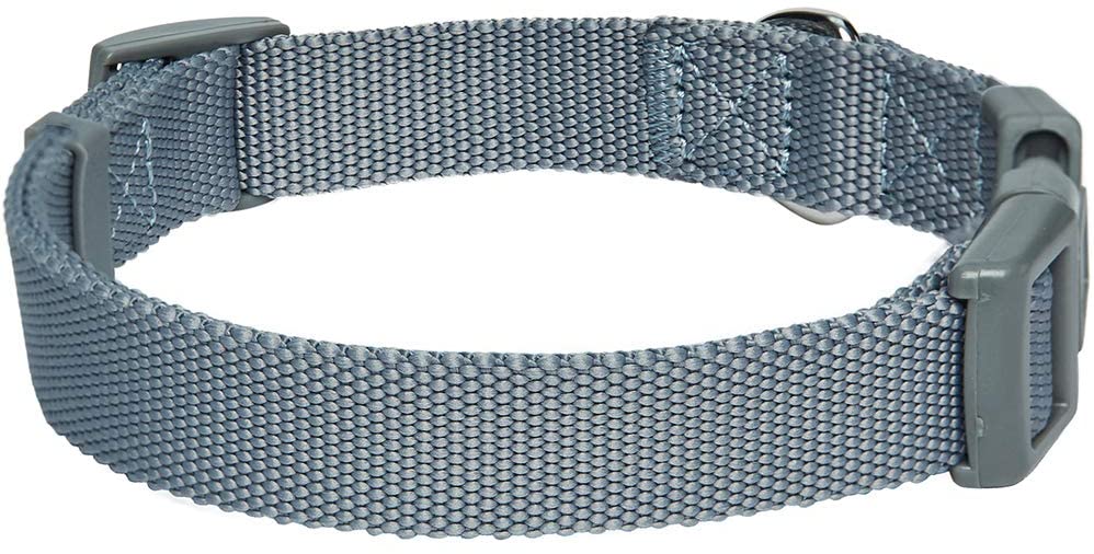  Umi. Essential Classic - Collar para perros L, cuello 45-66 cm, collares ajustables para perros (gris) 
