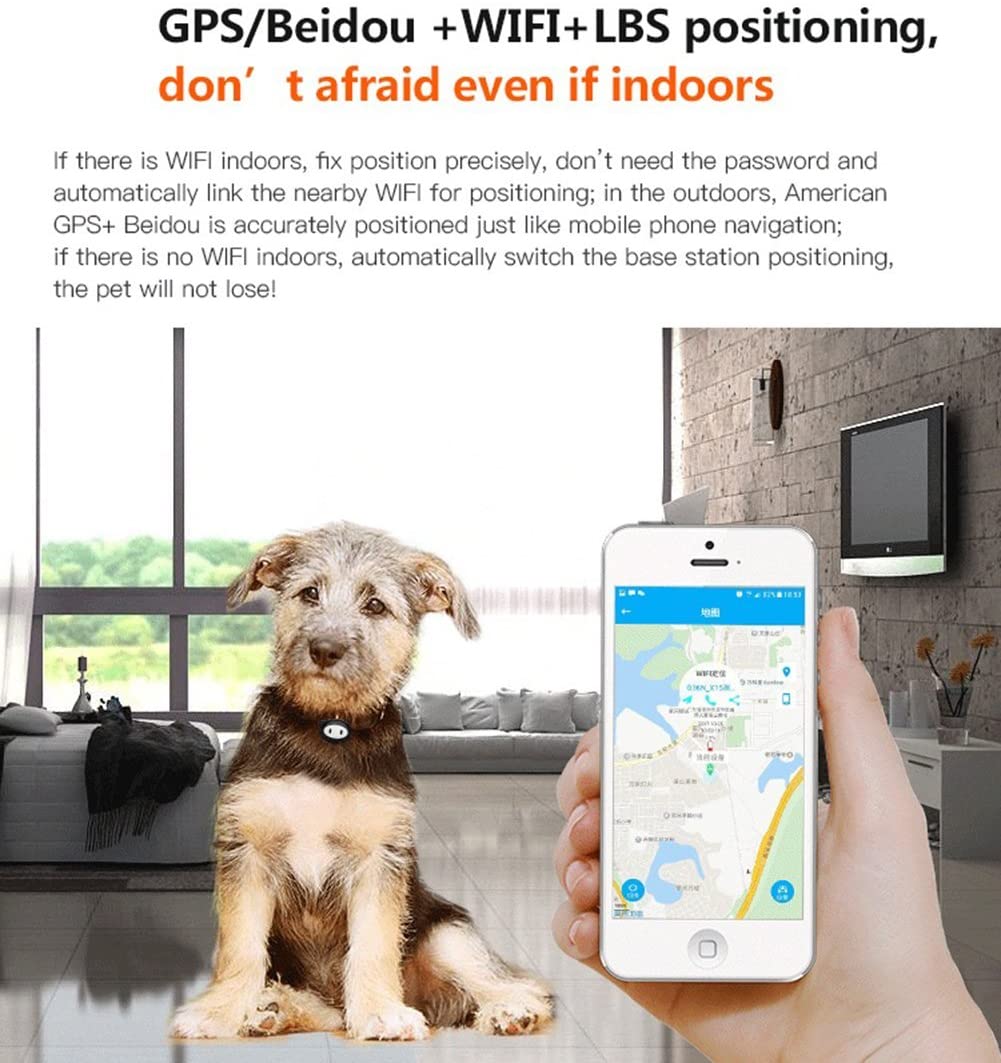  WYXIN Mascotas GPS Tracker Dog Collar GPS para Cat GPS Collar Waterproof IP68 Realtime Tracking Device Geofence WiFi lbs Locate App Gratuito 