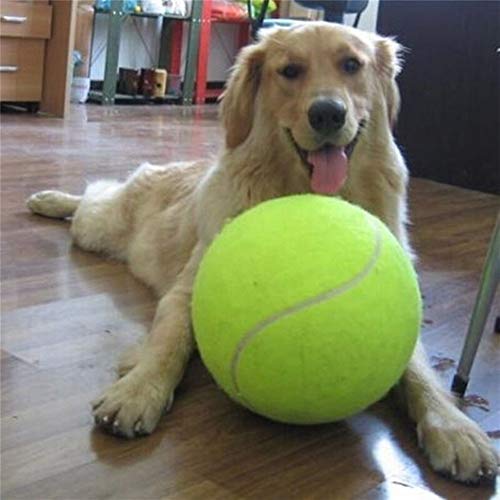 24 CM gigante pelota de tenis for el perro de juguete del Chew inflables grandes pelota de tenis del perro casero juguetes interactivos alimentos for mascotas perro de juguete al aire libre Cricket Pe