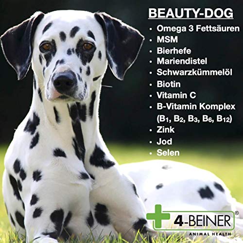 4 patas BEAUTY-DOG – Piel brillante, vitaminas para perros con levadura de cerveza, MSM, complejo de vitamina B, vitamina C, biotina, Omega 3, cardo mariano, zinc, selenio, etc., 80 g de polvo