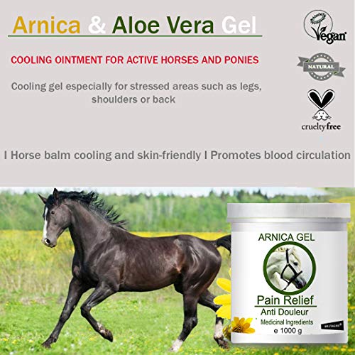 90% Gel de Árnica Montana y Aloe Vera Caballos 1000g Acción Rápida Remedio herbal 100% Natural