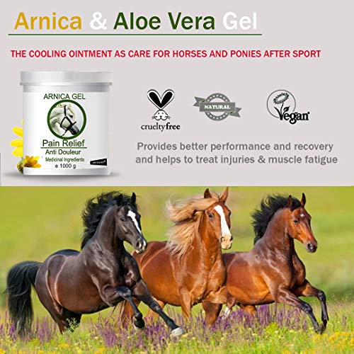 90% Gel de Árnica Montana y Aloe Vera Caballos 1000g Acción Rápida Remedio herbal 100% Natural