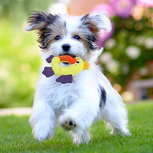 Accesorios para perro, lindo animal redondo rana búho pato sonido chirriante mascota perro masticar dientes juguete de limpieza – pato * Pato *