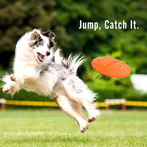 ACLBB Dog Frisbee Es Adecuado para Perros PequeñOs Y Medianos, Material De Silicona, Juguete para Mascotas, 4 Juegos