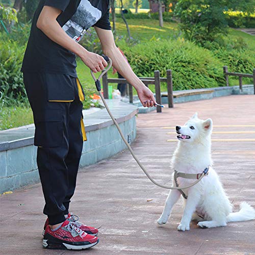 Alimagic Arnés de Seguridad para Perros, Cinturón Perro Coche, Tejido Transpirable Acolchado multifunción para Perros Que Caminan al Aire Libre (Cofre Gris más Espalda M-0.6 * 120 cm)