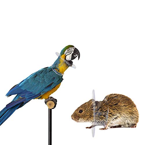 Allowevt Collar de Loro Mascota Pájaro Arnés y Correa Protectora de Cuentas Anillo de recolección de Plumas Anti Collares de Agarre Anti-desplume para roedores y pájaros Physical