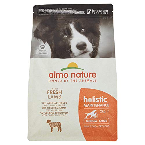 almo nature Dog Dry PFC Holistic Adult Cordero Razas Medianas