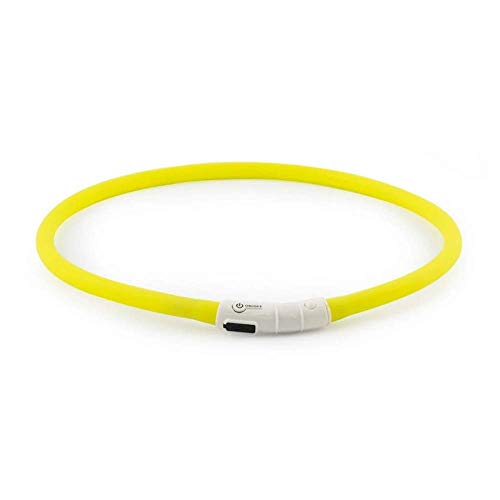 ANCOL - Collar Fluorescente para Perros, Recargable con Puerto USB, 60 cm, Color Azul.