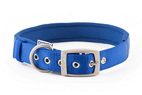 ANCOL Patrimonio Nylon Padded Collar de Perro, Grande, Azul
