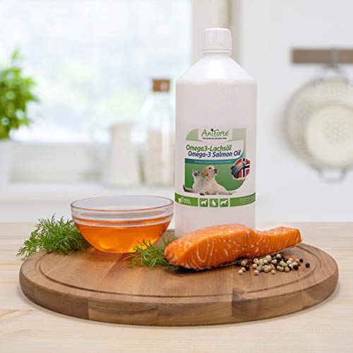 AniForte Aceite de salmón 5 Litros para Perros, Gatos y Caballos. Ácidos grasos Omega 3. Producto puro y Natural. Ideal como complemento alimenticio diario. Suplemento BARF.
