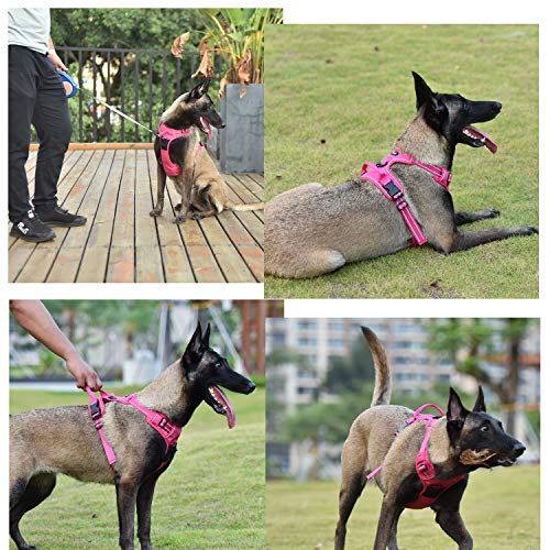Arnés de perro ajustable de Truelove, de malla suave y transpirable, de nailon reflectante a 3 metros, para perros pequeños, medianos y grandes
