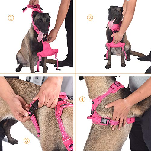 Arnés de perro ajustable de Truelove, de malla suave y transpirable, de nailon reflectante a 3 metros, para perros pequeños, medianos y grandes