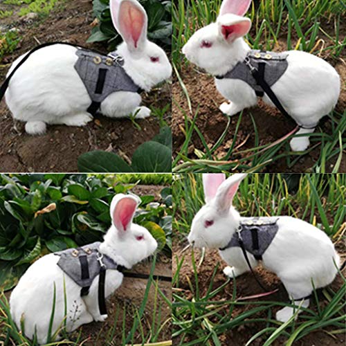 Arnés multiusos para conejo, correa para mascota pequeña, chinchillas, cobayas, chaleco de ropa Small