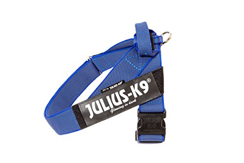 Arnés para cinturón de seguridad JULIUS-K9 y Correa para Perro, con Mango y Junta Tórica - color azul - talla: 2