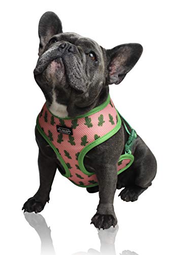 Arnés para perro reversible de primera calidad (2019). El arnés perfecto para mascotas + cinturón de seguridad incluido