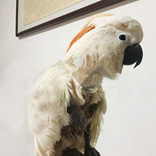 Balacoo Collar de Recuperación para Mascotas Collares Isabelinos Cono de Cuello de Pájaro Collar Anti-Mordida para Loro Guacamayo Pájaro Pequeños Animales Cirugía Recuperación