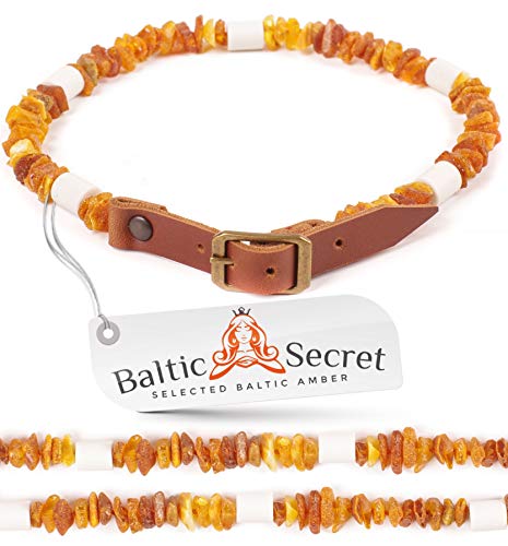 Baltic Secret - Collar de ámbar para Perro, con púas de cerámica EM - microorganismos efectivos - Collar de ámbar para Perros - ámbar - protección contra garrapatas