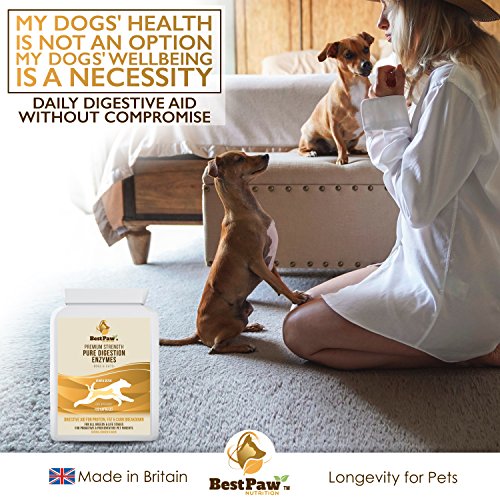 Best Paw Nutrition Enzimas digestivas para Perros y Gatos: Ayuda a los trastornos digestivos y a Perder Las heces en los Perros